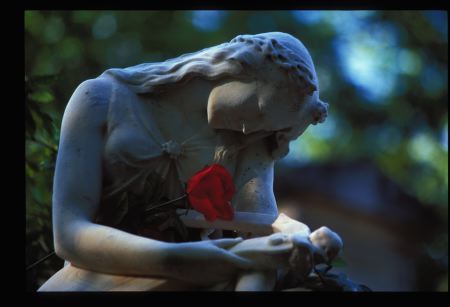 lachaise66