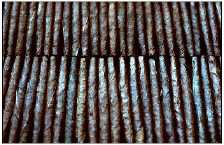 320_50088_29