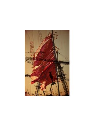 grue-et-hommes-et-flag-copi