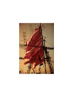 grue-et-hommes-et-flag-copi