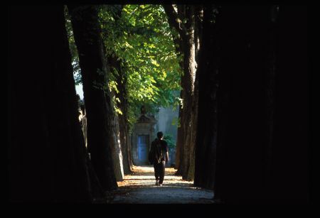 lachaise0294
