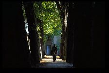 lachaise0294