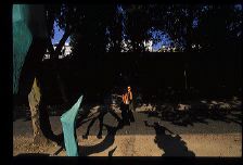 lachaise37