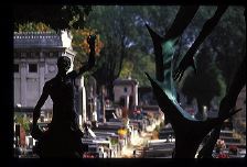 lachaise55