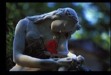 lachaise66