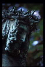 lachaise67