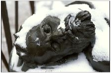 cimetiere_26