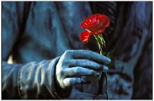 cimetiere_30