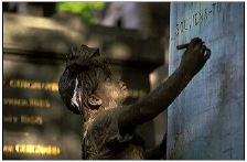cimetiere_34